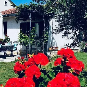 https://studio-benassi.in-istria.net